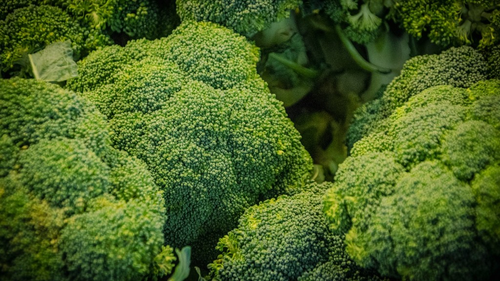 How To Blanch And Freeze Broccoli