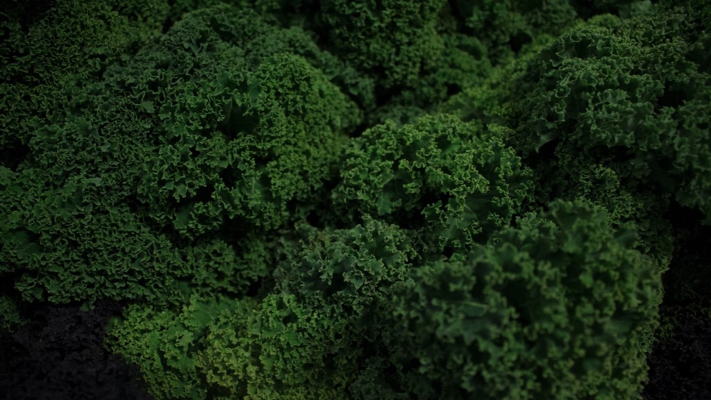 How To Keep Bugs Off Broccoli Plants