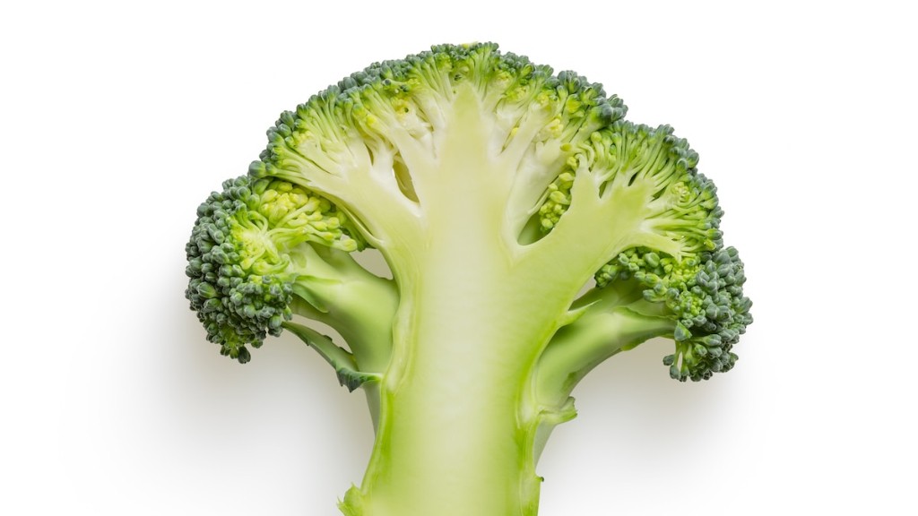 What Plant Did Broccoli Come From