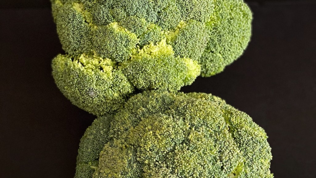 How Much Broccoli Can Kill You - Naturalvegtable.com