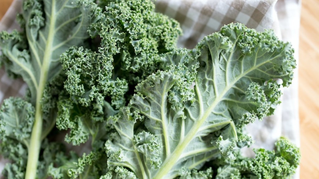 Does Kale Contain Folate