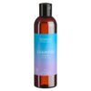 benecos Natural Basics Shampoo Sensitiv