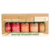 WINTER-WUNDER-MINIS