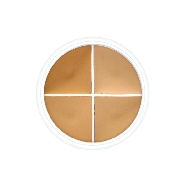 4 Part color wheels