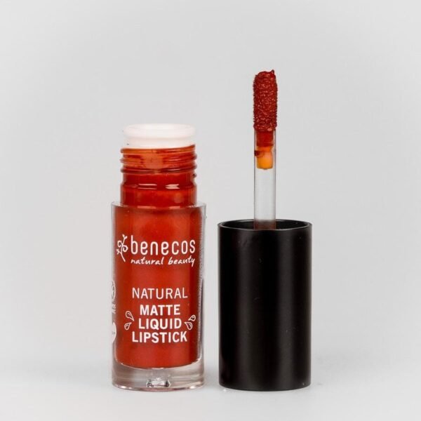 Matte Liquid Lipstick trust in rust
