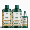 Ginger Anti-Dandruff Trio (Large)