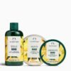 Mango Juicy and Refreshing Collection