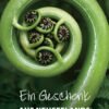 Gutscheine
