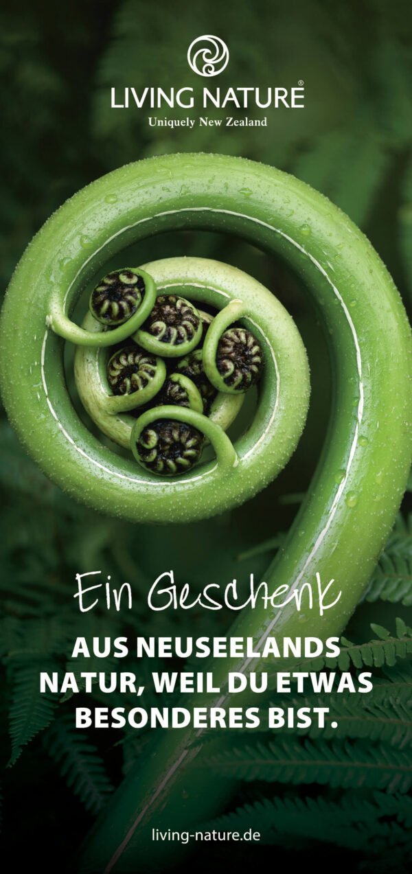 Gutscheine