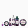Ultimate Dewberry Collection
