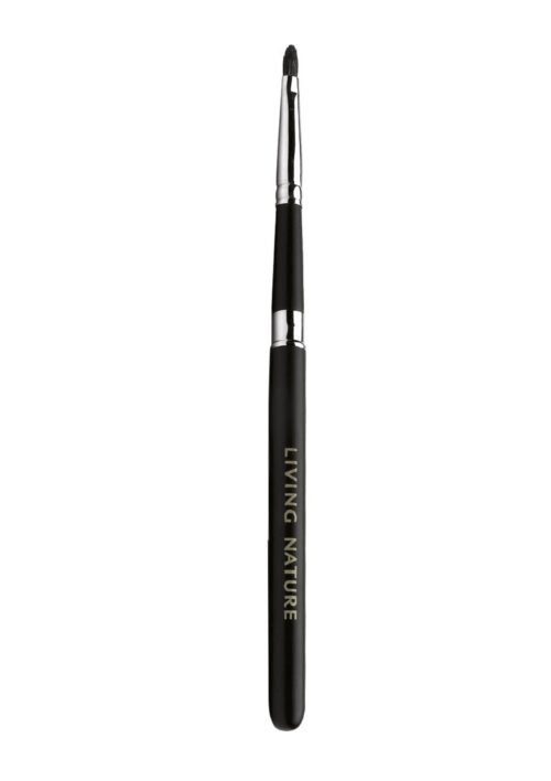 Lippenpinsel - Angebot